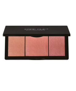 Erre Due Blush & Glow Palette 403 Rosy Evenings