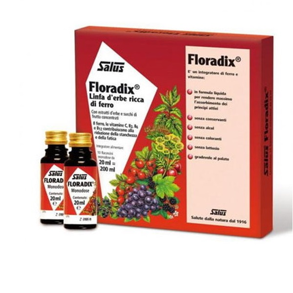 Power of Nature Floradix Liquid Iron Formula 10x20ml